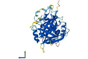 Protein Structure (PS) image for Nudix (Nucleoside Diphosphate Linked Moiety X)-Type Motif 19 (NUDT19) (AA 1-357) protein (His tag) (ABIN7562845)