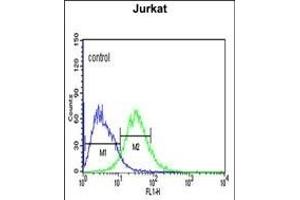 ADFP Antibody (Center) (ABIN651311 and ABIN2840181) flow cytometric analysis of Jurkat cells (right histogram) compared to a negative control cell (left histogram). (ADRP antibody  (AA 186-214))