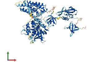 Protein Structure (PS) image for Vav 1 Oncogene (VAV1) (AA 1-845) protein (His tag) (ABIN7545081)