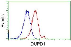 Flow Cytometry (FACS) image for anti-Dual Specificity Phosphatase and Pro Isomerase Domain Containing 1 (DUPD1) antibody (ABIN1497928) (DUPD1 antibody)