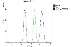 Flow Cytometry analysis of U937 cells using anti-MAP3K8 antibody (ABIN4886663). (MAP3K8 antibody  (AA 9-193))