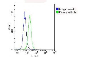 Overlay histogram showing Hela cells stained with (ABIN6244073 and ABIN6578602) (green line). (RPS10 antibody  (AA 96-129))