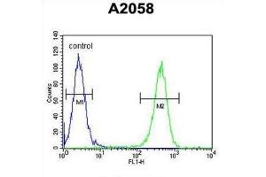 Flow Cytometry (FACS) image for anti-Glutamine-Fructose-6-Phosphate Transaminase 2 (GFPT2) antibody (ABIN3004112)