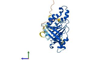 Protein Structure (PS) image for X-Ray Repair Complementing Defective Repair in Chinese Hamster Cells 2 (XRCC2) (AA 1-280) protein (His tag) (ABIN7545207)