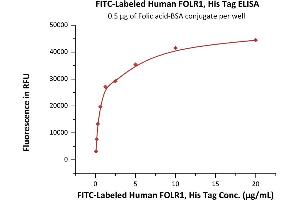 ELISA image for Folate Receptor 1 (Adult) (FOLR1) (AA 25-233) (Active) protein (His tag,FITC) (ABIN6973072)