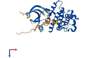 CDK6 Protein (AA 1-326) (His tag)