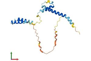 AlphaFold protein structure predicition of Human Recombinant HES2 Protein, UniprotID Q9Y543