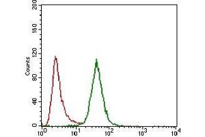 CD24 antibody  (AA 15-80)