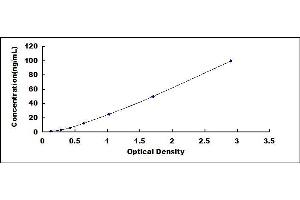 Typical standard curve (SIRT2 ELISA Kit)