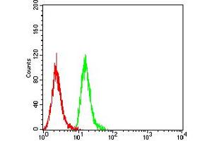 Flow cytometric analysis of Hela cells using CD84 mouse mAb (green) and negative control (red). (CD84 antibody  (AA 22-225))
