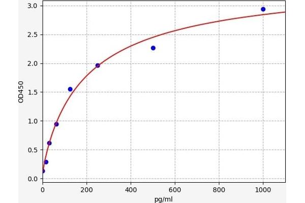 Nestin ELISA Kit