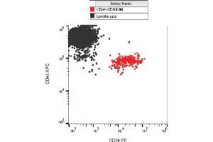 Flow cytometry analysis (surface staining) of CD34 in human peripheral blood with anti-CD34 (QBEnd-10) PE. (CD34 antibody  (PE))