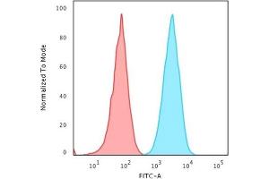 Flow Cytometric Analysis of Human Raji cells using HLA-Pan Mouse Monoclonal Antibody (CR3/43) followed by goat anti-Mouse IgG-CF488 (Blue); Isotype control (Red). (MHC Class II HLA-DP/DQ/DR antibody)