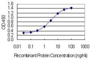Detection limit for recombinant GST tagged TJAP1 is 0. (TJAP1 antibody  (AA 77-180))