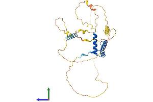 Protein Structure (PS) image for Orthopedia Homeobox (OTP) (AA 1-325) protein (His tag) (ABIN7562251)