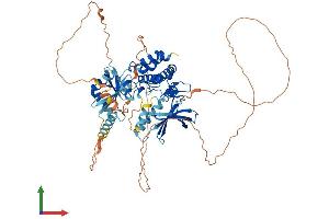 AlphaFold protein structure predicition of Mouse Recombinant Map3k2 Protein, UniprotID Q61083