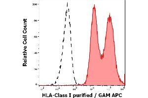 Separation of leukocytes stained using anti-HLA Class I (W6/32) purified antibody (concentration in sample 4 μg/mL, GAM APC, red-filled) from leukocytes unstained by primary antibody (GAM APC, black-dashed) in flow cytometry analysis (surface staining).