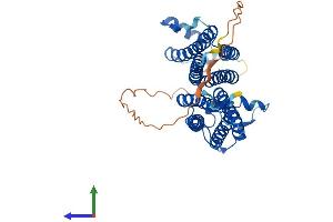 AlphaFold protein structure predicition of Mouse Recombinant Cox15 Protein, UniprotID Q8BJ03 (COX15 Protein (AA 1-413) (His tag))