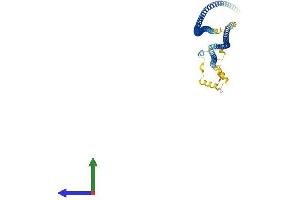AlphaFold protein structure predicition of Human Recombinant CCDC65 Protein, UniprotID Q8IXS2 (CCDC65 Protein (AA 1-484) (His tag))