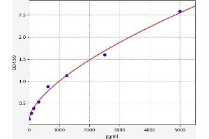 LTBP1 ELISA Kit