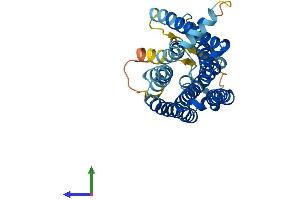AlphaFold protein structure predicition of Human Recombinant OR2S2 Protein, UniprotID Q9NQN1
