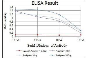 Red: Control Antigen (100 ng), Purple: Antigen (10 ng), Green: Antigen (50 ng), Blue: Antigen (100 ng), (MAP2K6 antibody)