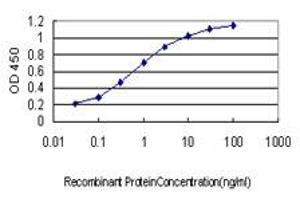 Detection limit for recombinant GST tagged HARS is approximately 0. (HARS1/Jo-1 antibody  (AA 1-96))