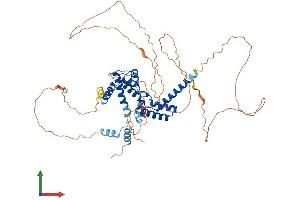 AlphaFold protein structure predicition of Human Recombinant HNF1B Protein, UniprotID P35680
