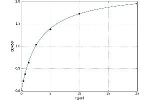 A typical standard curve