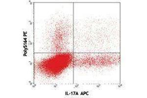 Flow Cytometry (FACS) image for anti-Interleukin 22 (IL22) (AA 34-179) antibody (PE) (ABIN2663784) (IL-22 antibody  (AA 34-179) (PE))