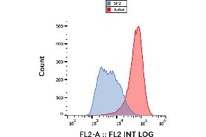 Flow cytometry analysis (surface staining) of CD231 in JURKAT cells with anti-CD231 (B2D) PE. (Tetraspanin 7 antibody  (PE))
