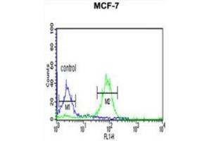 Flow Cytometry (FACS) image for anti-Biorientation of Chromosomes in Cell Division 1 (BOD1) antibody (ABIN3004401)