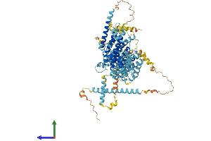 AlphaFold protein structure predicition of Mouse Recombinant Noc3l Protein, UniprotID Q8VI84 (NOC3L Protein (AA 1-807) (His tag))
