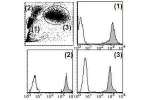 Flow Cytometry (FACS) image for anti-CD44 (CD44) antibody (PE) (ABIN1106383) (CD44 antibody  (PE))