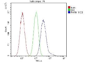 Flow Cytometry analysis of A549 cells using anti- PARN antibody (ABIN6719422). (PARN antibody  (AA 1-301))