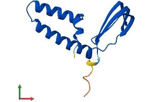 Protein Structure (PS) image for General Transcription Factor IIA, 2, 12kDa (GTF2A2) (AA 1-109) protein (His tag) (ABIN7544131)