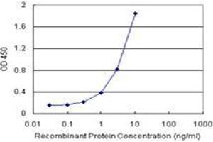 Sandwich ELISA detection sensitivity ranging from 0. (TRIM55 (Human) Matched Antibody Pair)