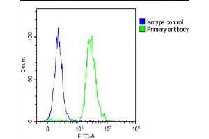 Overlay histogram showing A431 cells stained with (ABIN6243665 and ABIN6578886)(green line). (FAM3A antibody  (AA 201-230))