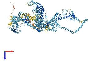 IQ Motif Containing GTPase Activating Protein 3 (IQGAP3) (AA 1-1631) protein (His tag)