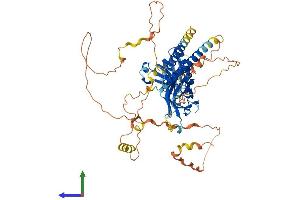 Protein Structure (PS) image for Rhotekin 2 (RTKN2) (AA 1-604) protein (His tag) (ABIN7556979)