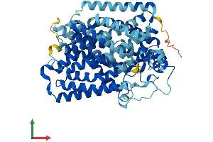AlphaFold protein structure predicition of Mouse Recombinant Slc5a10 Protein, UniprotID Q5SWY8 (SLC5A10 Protein (AA 1-596) (His tag))
