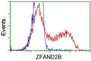 HEK293T cells transfected with either RC203822 overexpress plasmid (Red) or empty vector control plasmid (Blue) were immunostained by anti-ZFAND2B antibody (ABIN2454224), and then analyzed by flow cytometry. (ZFAND2B antibody)