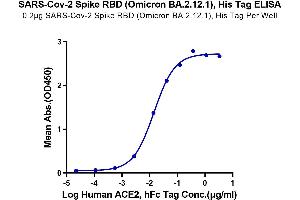 Immobilized SARS-CoV-2 Spike RBD (Omicron BA. (SARS-CoV-2 Spike Protein (BA.2.12.1 - Omicron, RBD) (His tag))