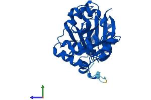 AlphaFold protein structure predicition of Human Recombinant GLYAT Protein, UniprotID Q6IB77 (GLYAT Protein (AA 1-296) (His tag))