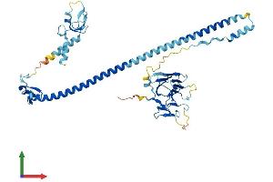 AlphaFold protein structure predicition of Mouse Recombinant Trim60 Protein, UniprotID Q8VI40 (TRIM60 Protein (AA 1-466) (His tag))