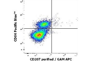 Flow cytometry multicolor intracellular staining pattern of human stimulated (GM-CSF + IL-4 + TGF-beta) monocytes using anti-human CD207 (2G3) purified antibody (concentration in sample 0. (CD207 antibody)