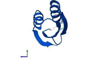 AlphaFold protein structure predicition of Mouse Recombinant Atox1 Protein, UniprotID O08997