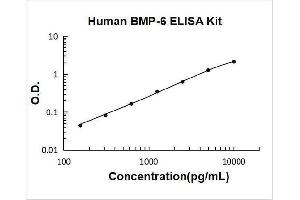 Typical Standard Curve