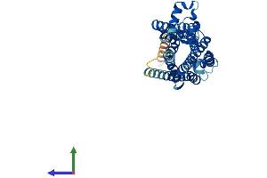 AlphaFold protein structure predicition of Mouse Recombinant Taar7e Protein, UniprotID Q5QD09 (TAAR7E Protein (AA 1-358) (His tag))