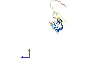 AlphaFold protein structure predicition of Mouse Recombinant Hspb1 Protein, UniprotID P14602 (HSP27 Protein (AA 1-209) (His tag))